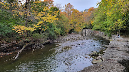 Etobicoke Valley Park